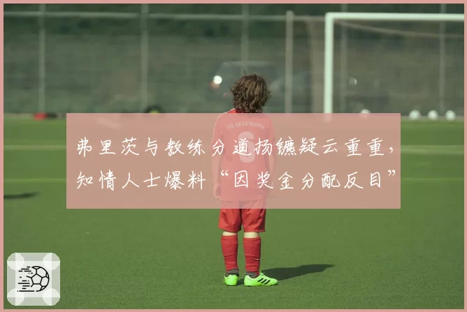 弗里茨与教练分道扬镳疑云重重,知情人士爆料“因奖金分配反目”